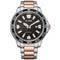 Citizen Eco-Drive 2 Tone Black Dial Date Dress Watch